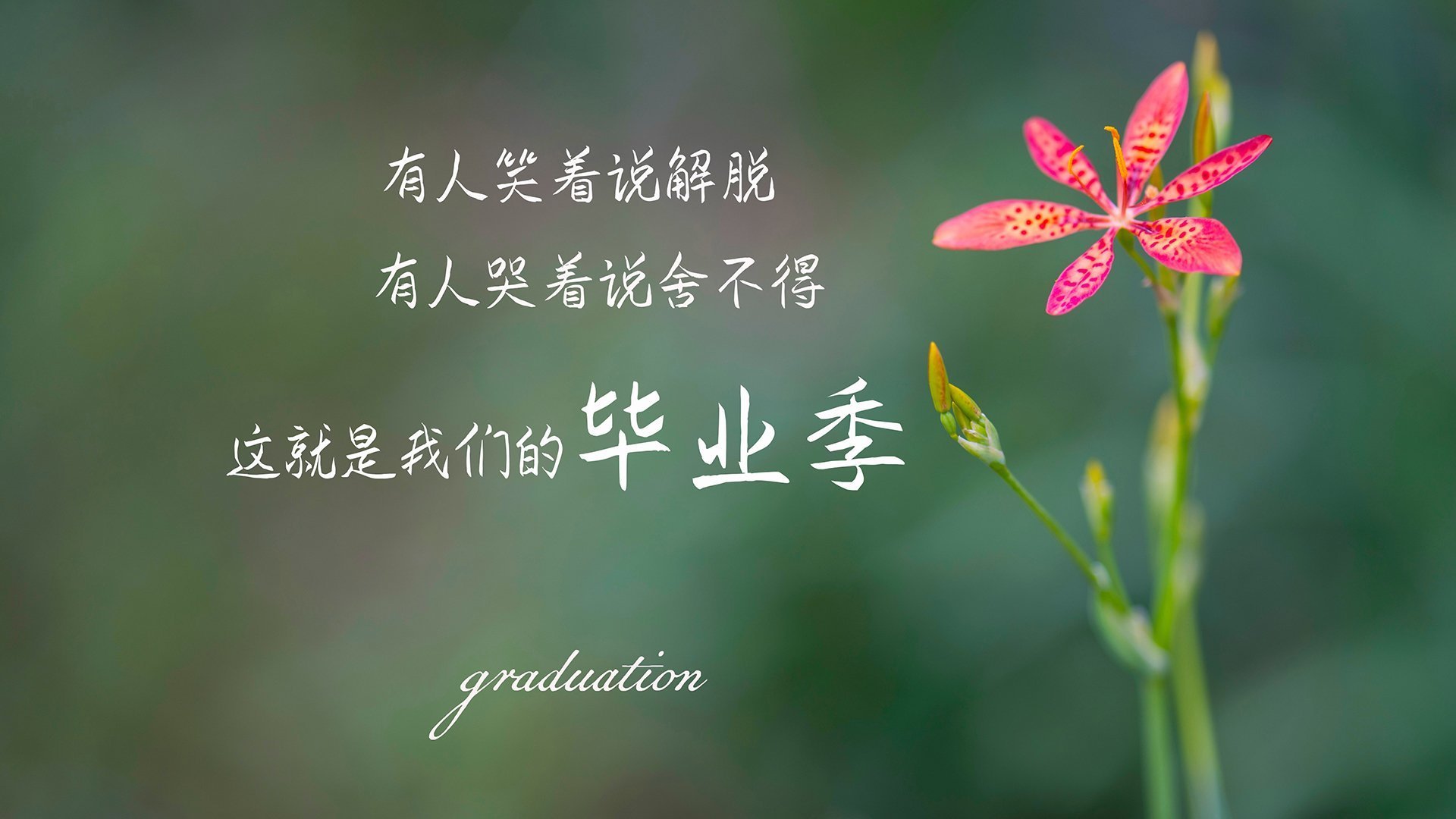关键先生！恩比德制胜攻防助步行者力克76人，晋级冠军战