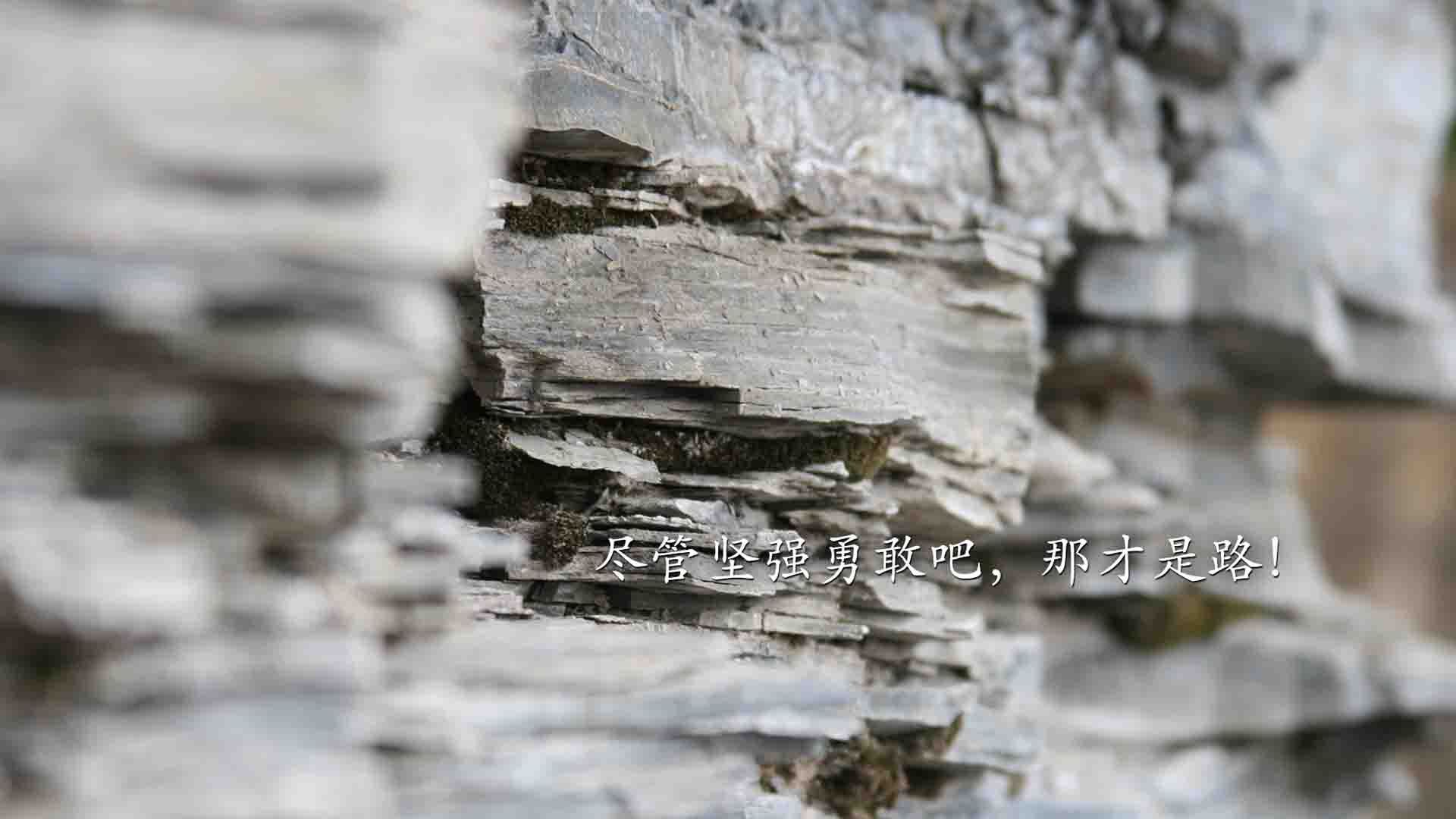 深圳队血拼独行侠，克莱·汤普森教科书级表现定义篮球艺术