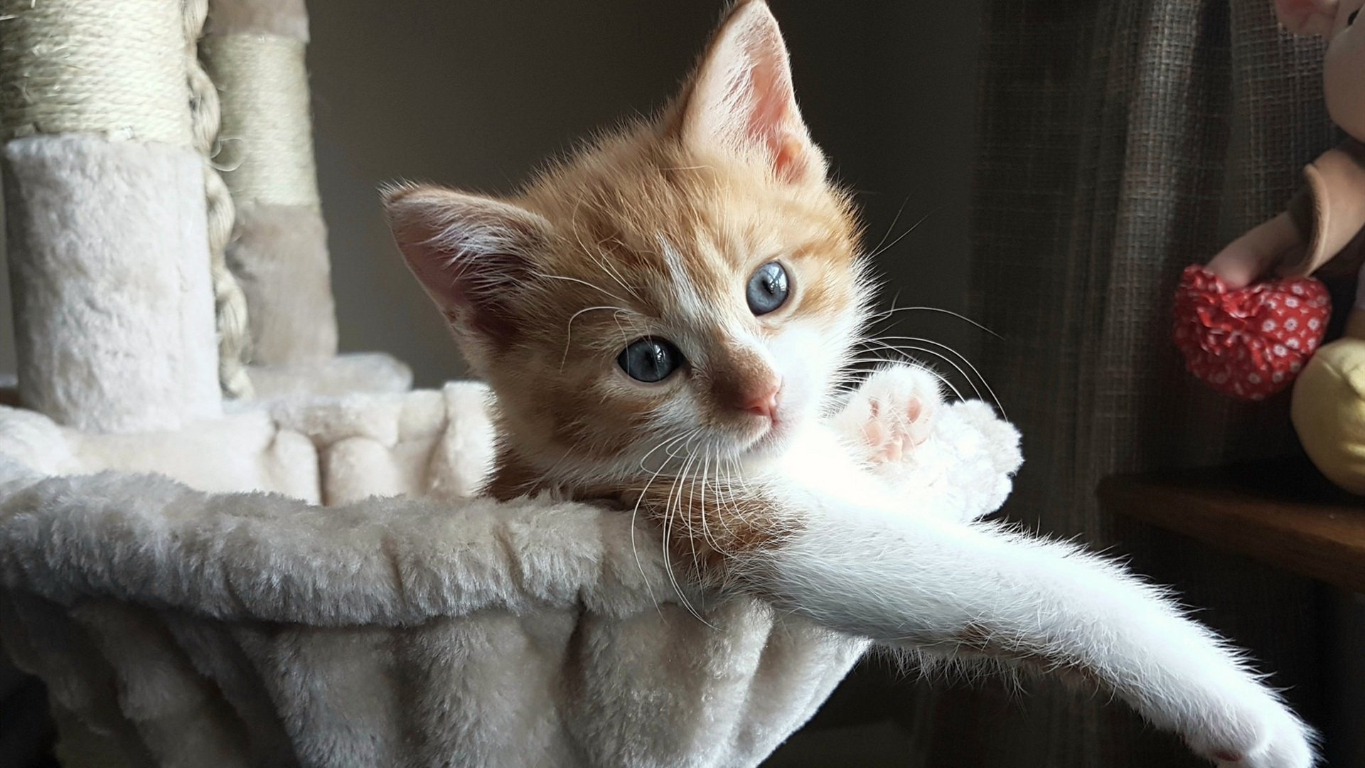 pg电子模拟器-绝境之神，库尔图瓦的三次定义性扑救与牙买加足球的黑暗黎明