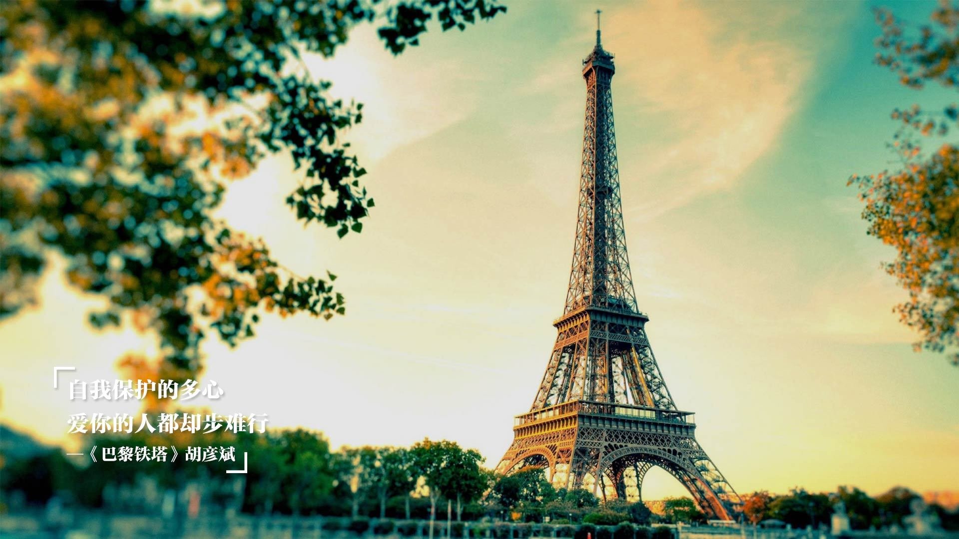 东契奇，节奏艺术家与猛龙的碾压机器