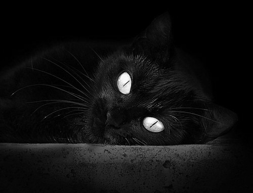 全能火力征服，从爵士的钢铁洪流到爱德华兹的个人英雄主义