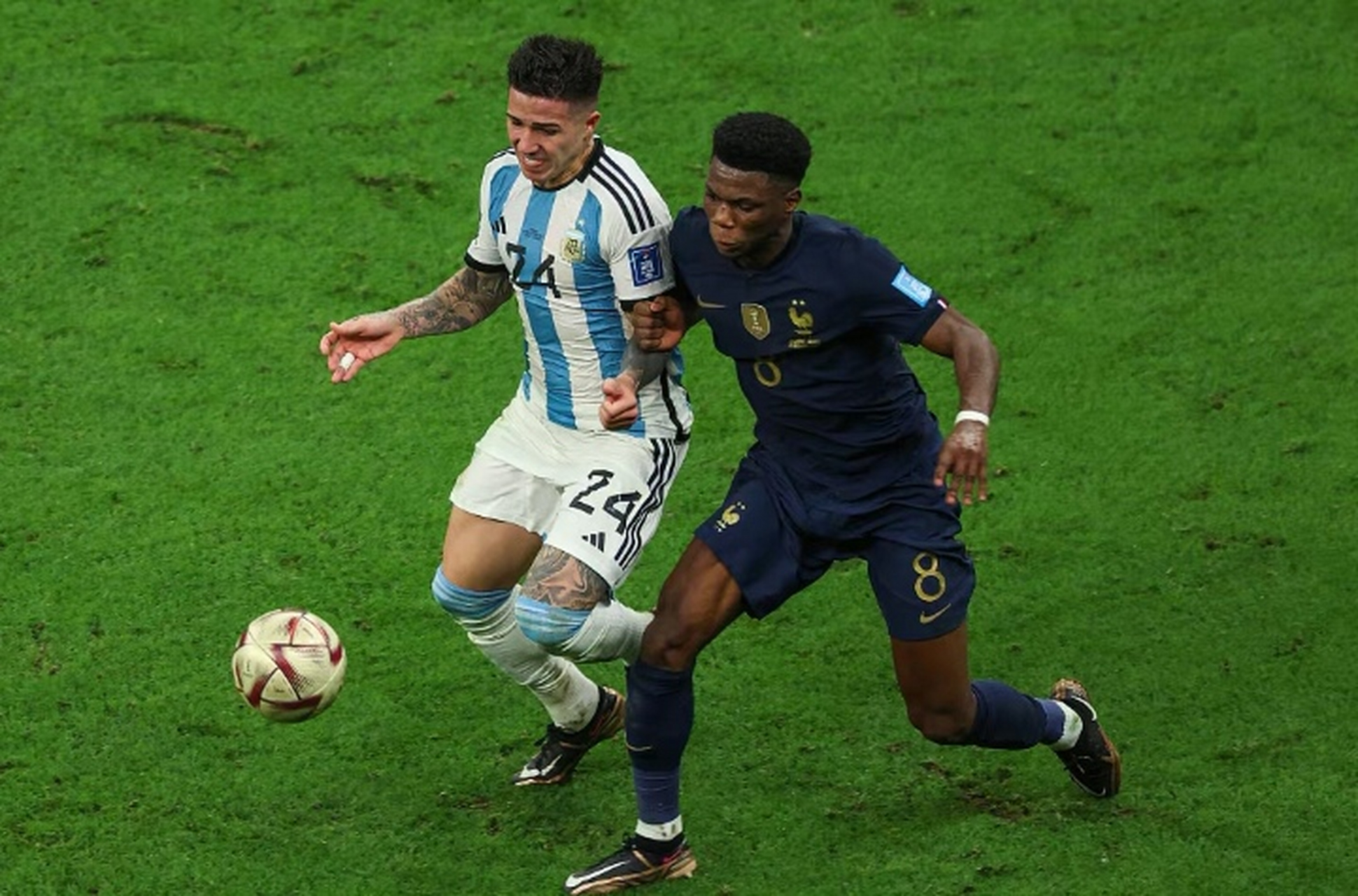 巴西对阵葡萄牙,恩佐持续制造杀伤 巴西对阵葡萄牙,恩佐持续制造杀伤