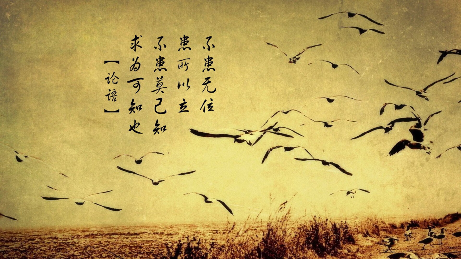 法国风暴席卷美利坚,阿坎吉的跨洋征服与篮球新秩序的诞生