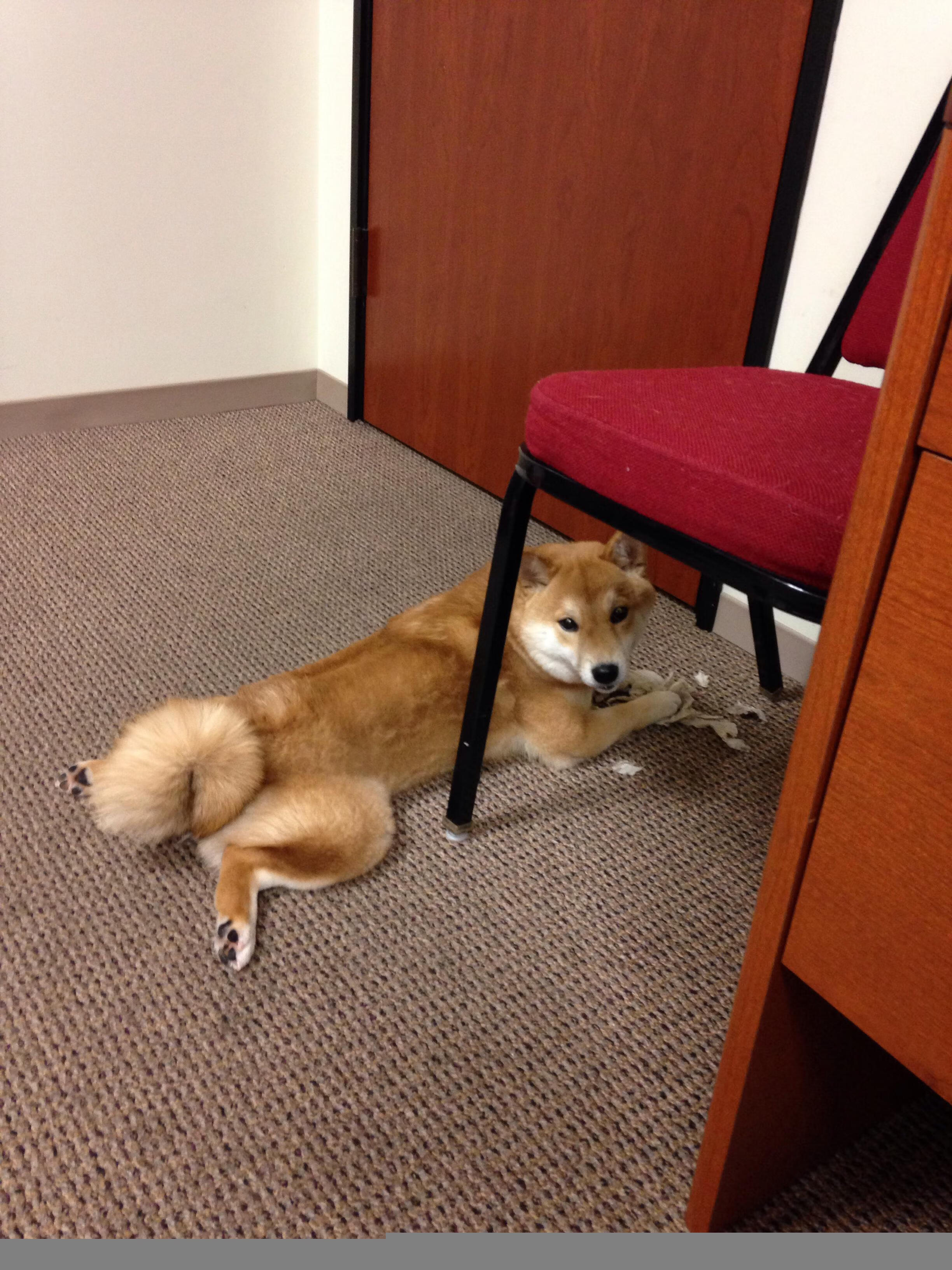 pg电子游戏-灼热的巨星与冷冽的沙场，足球世界里的冰火辩证法