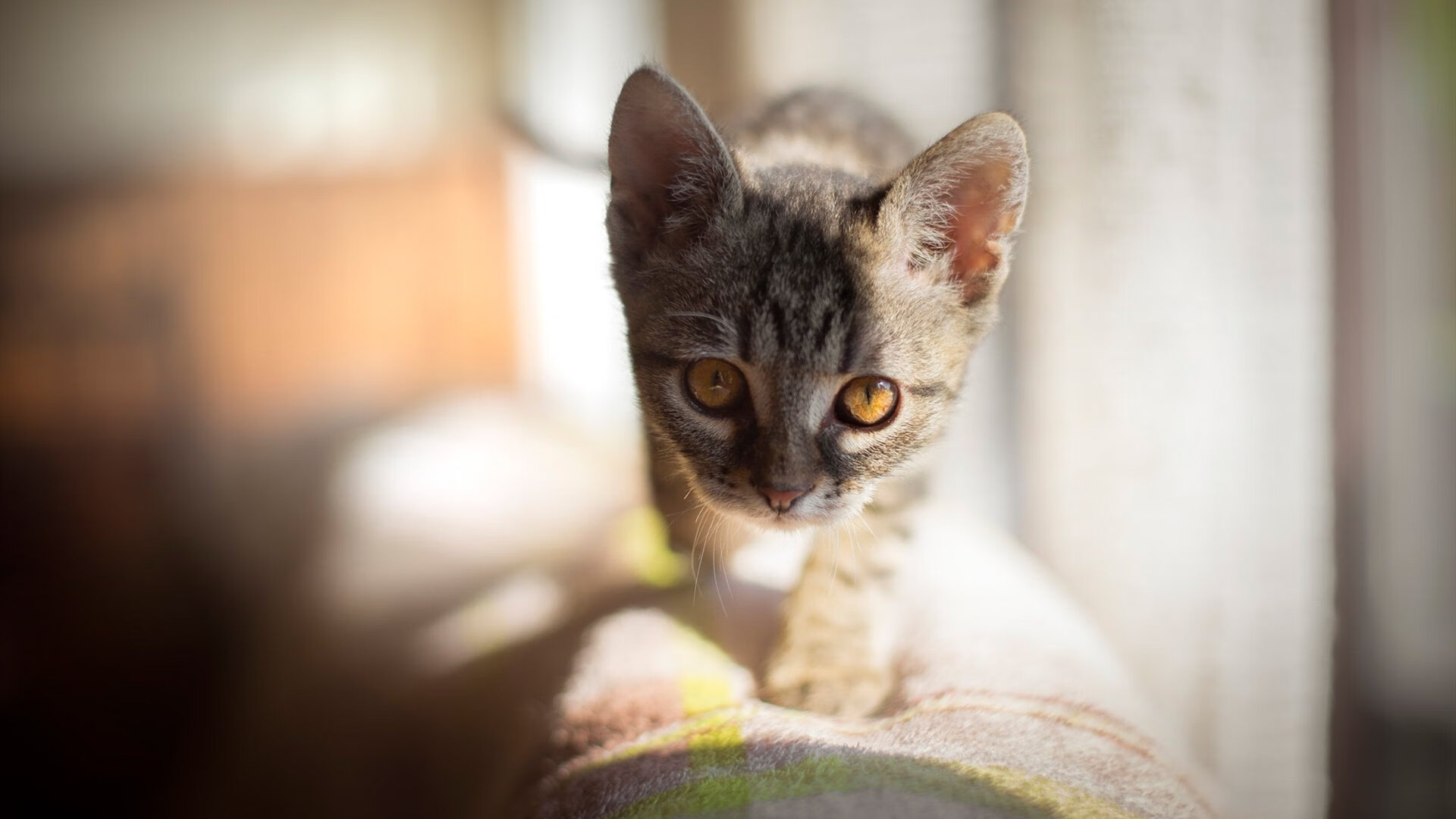 pg电子娱乐-数据暴走，战术碾压！拉什福德超神之夜，巴黎如何将皇马钉在耻辱柱上？