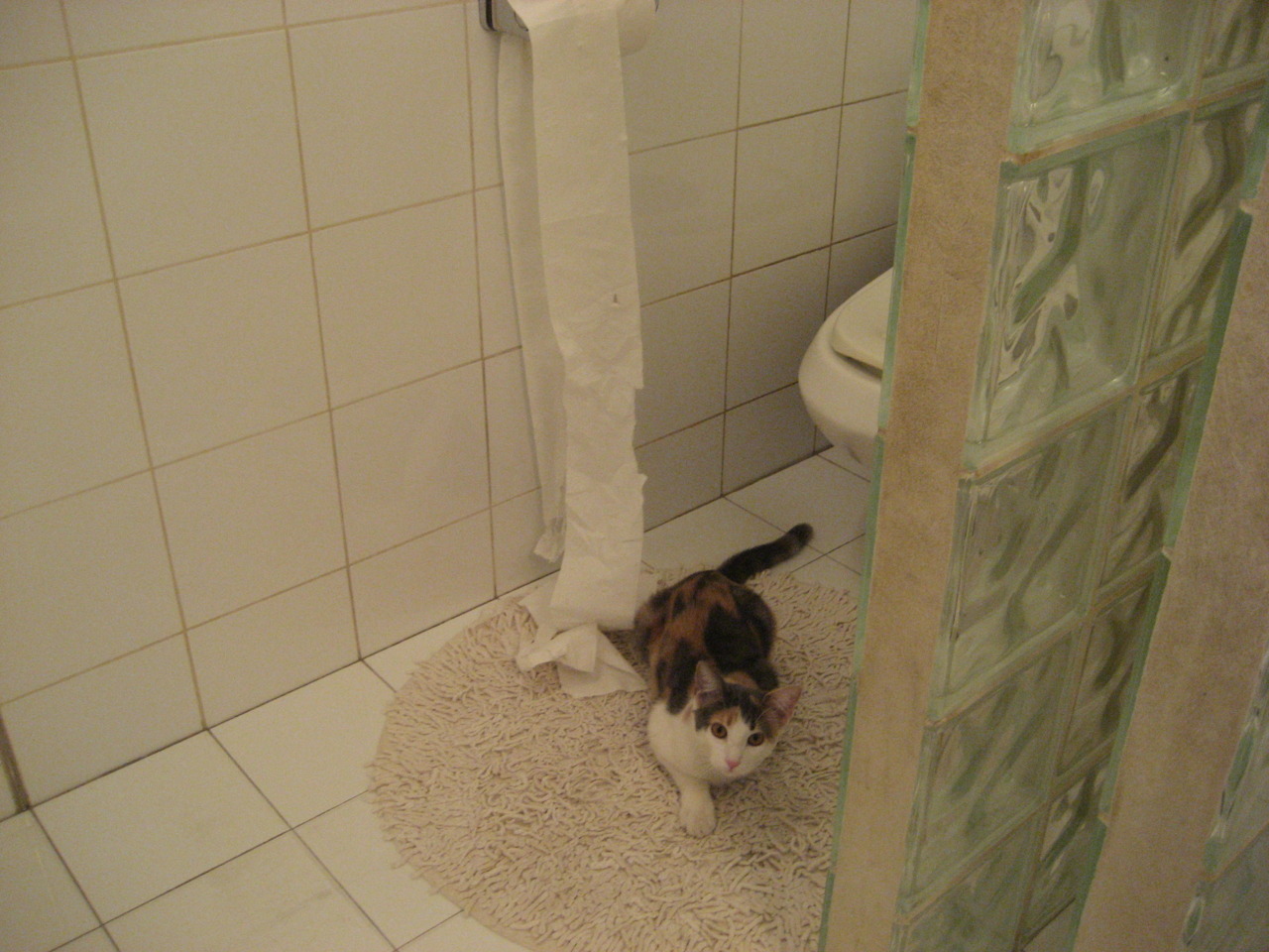 pg电子娱乐-熔炉之战，那不勒斯激情一波带走巴西，C罗化身终局关键先生