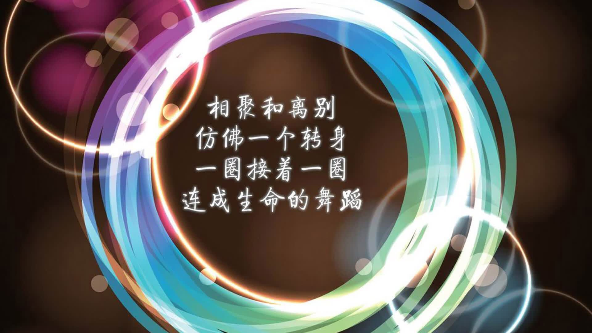枫叶红透南美,2026世界杯B组,加拿大碾压巴西,阿方索·戴维斯闪耀全场